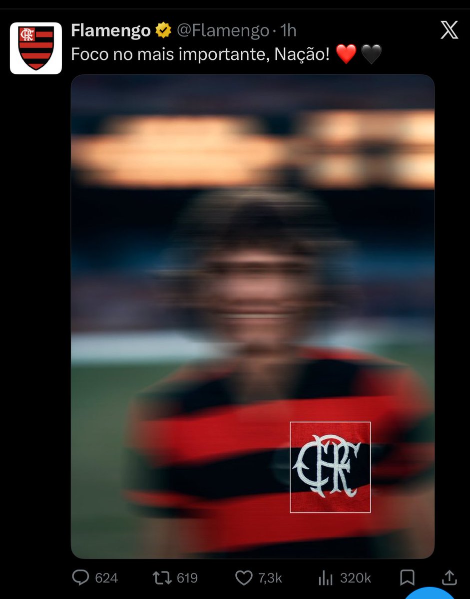 gabigolo tweet media