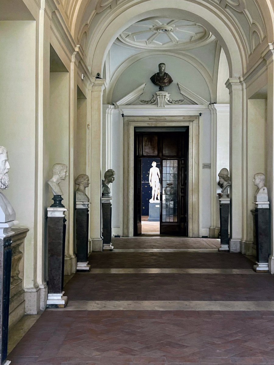 MinervaArmata tweet media