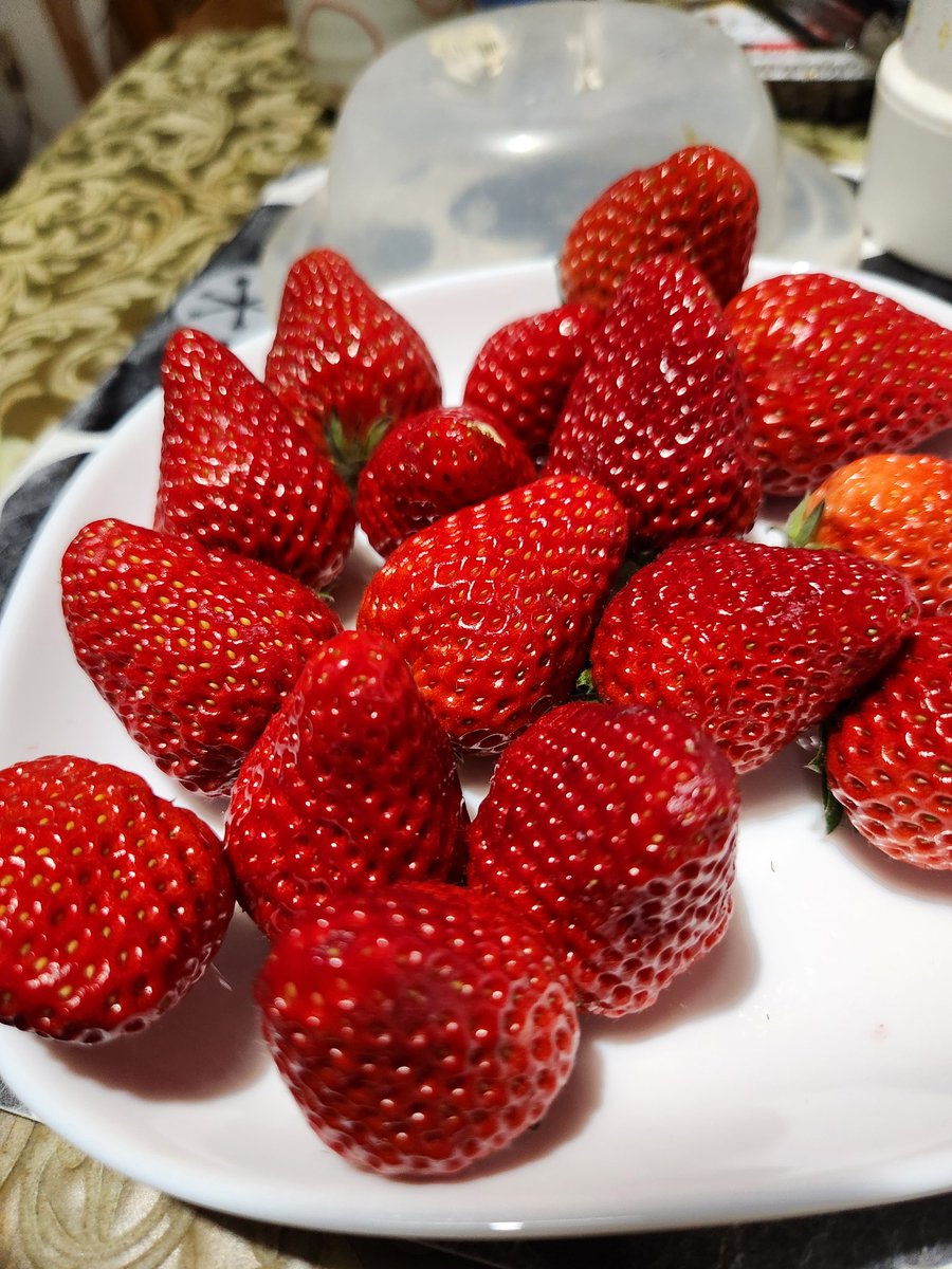 🐄ほいほいホロホロしっとりパン駄🐼 tweet media