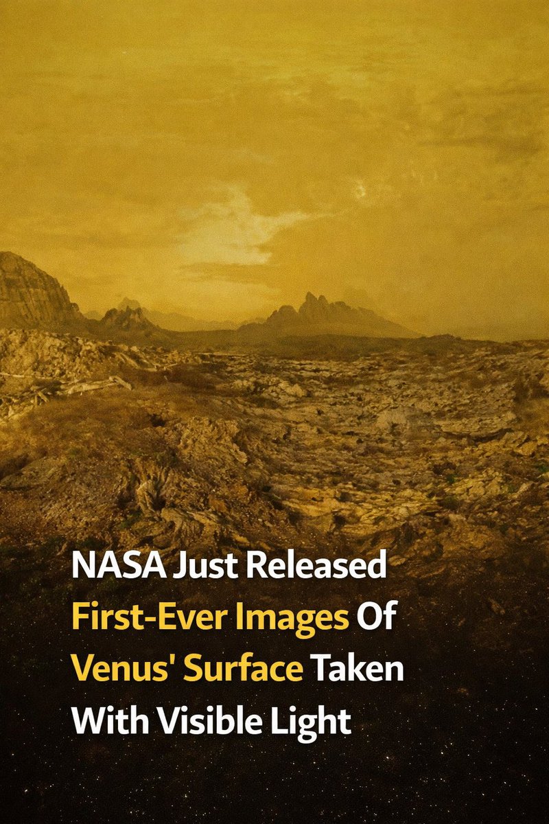 Dailyscienceinfo tweet media