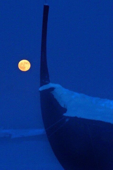 McHeathenHeart tweet media