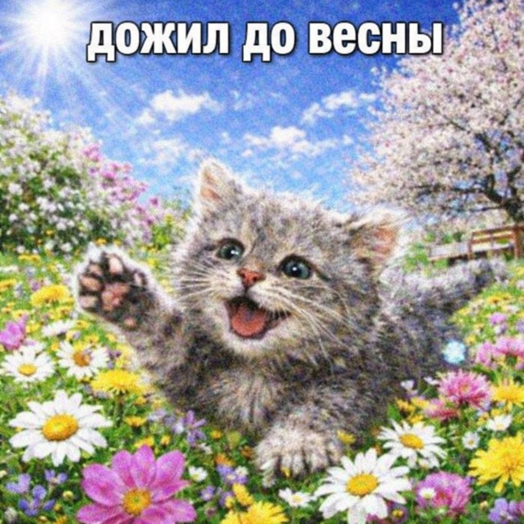 Варежка 🐁 tweet media