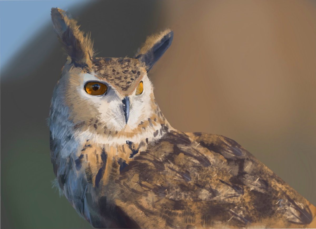 bushposs tweet media