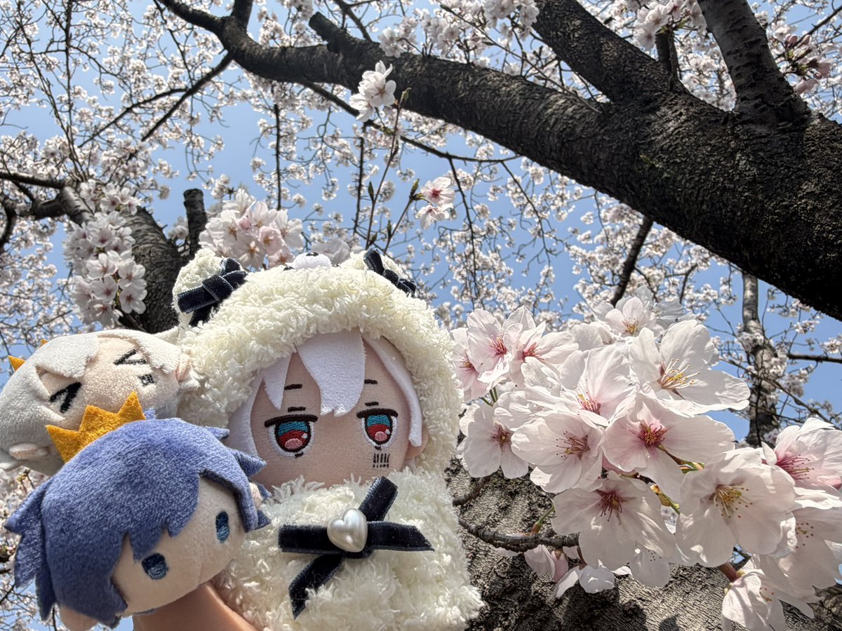 なつは tweet media