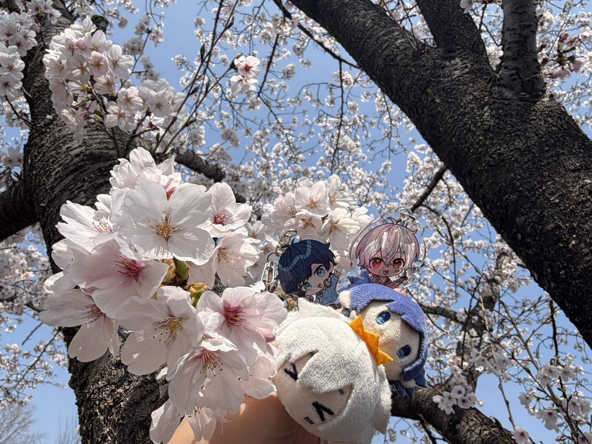 なつは tweet media