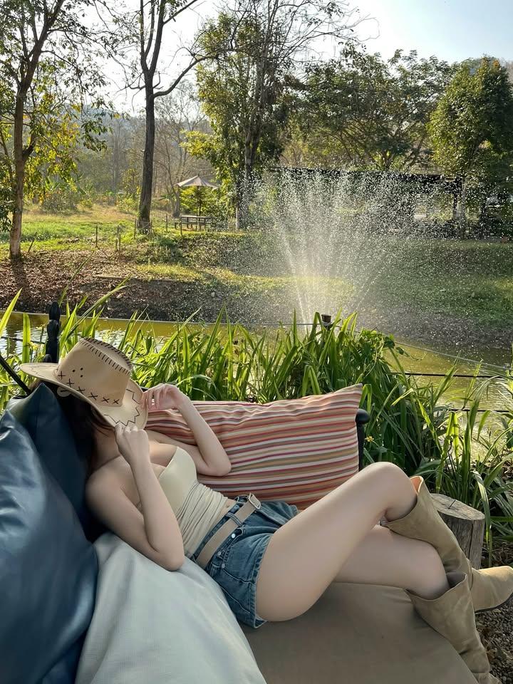 Pimpapada 🦋 tweet media