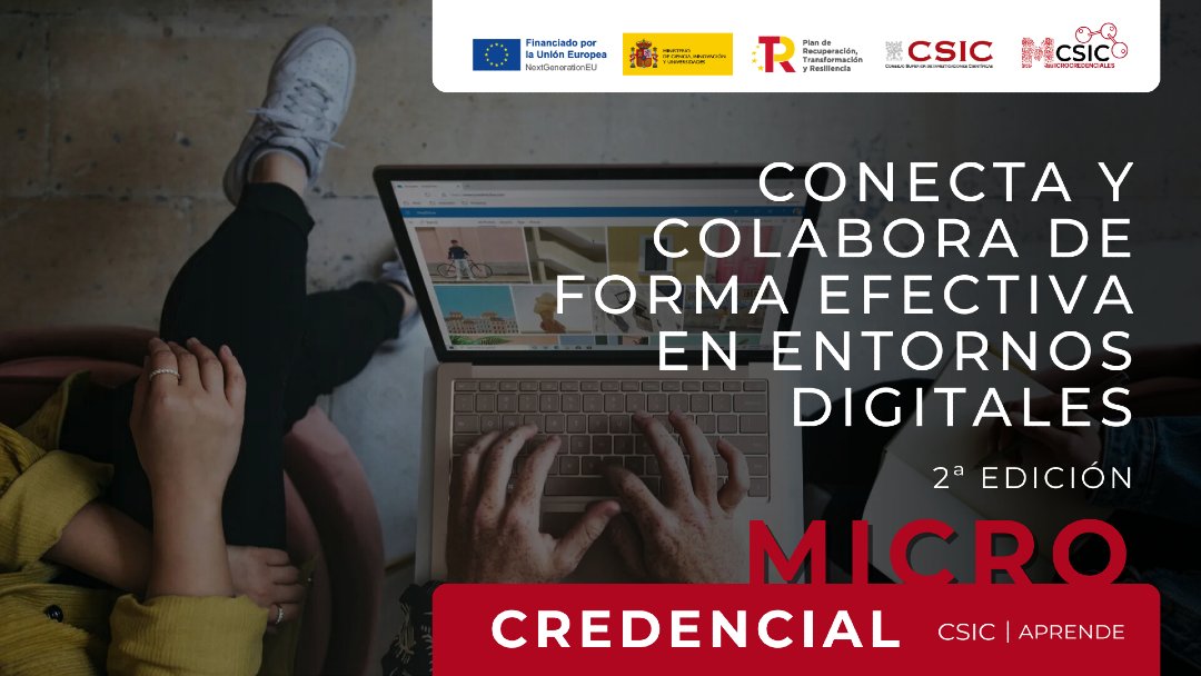 Conecta13 tweet media