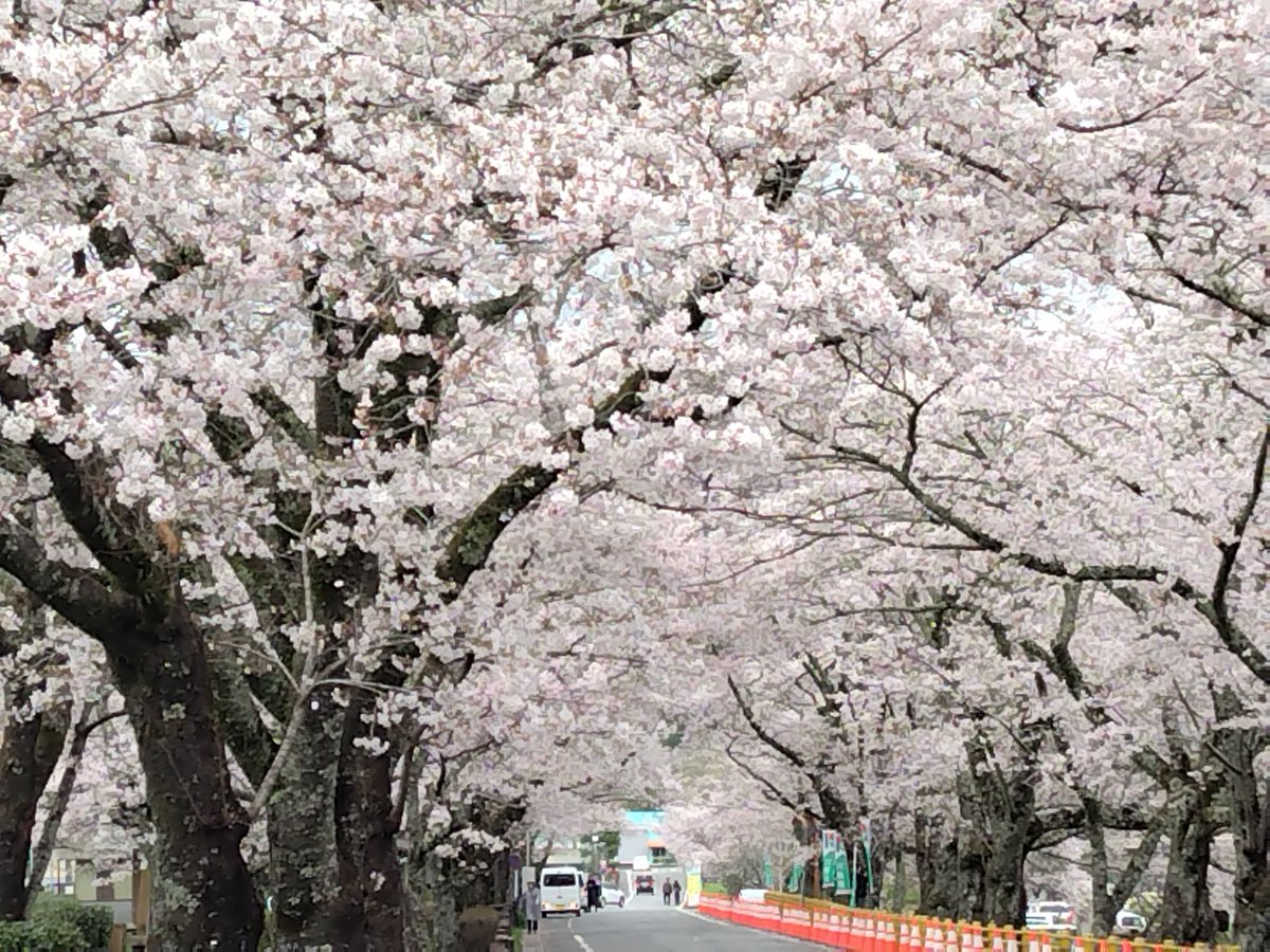 jay_8977 tweet picture