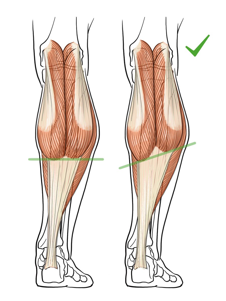 伊豆の美術解剖学者 tweet media