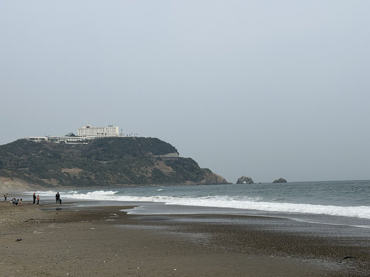 🅷🅰🅼30 【カピバラマロンちゃん飼育員】 tweet media