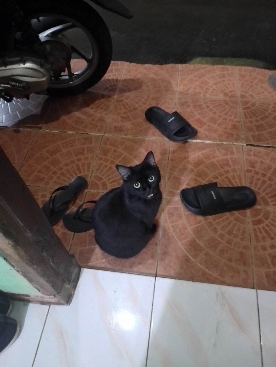 cacaa🌷 tweet media