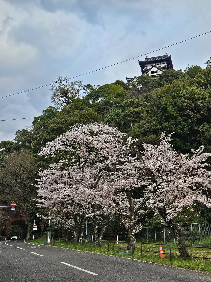 おーた🗻 tweet media