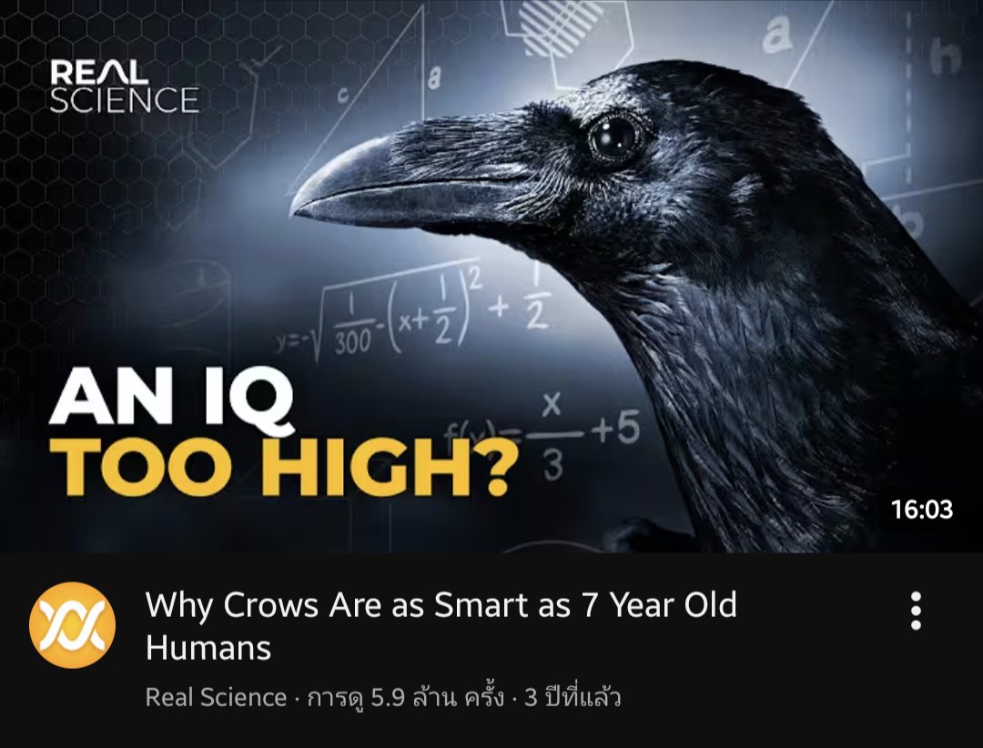 Zune🧀 Vgen tweet media