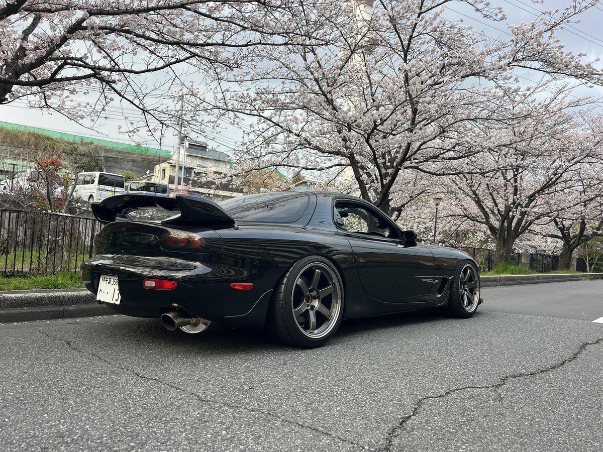 13B機動隊 tweet media