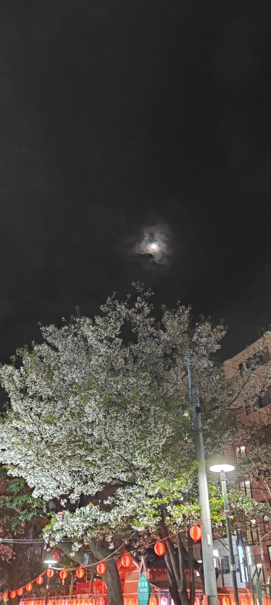 junmen999 tweet media