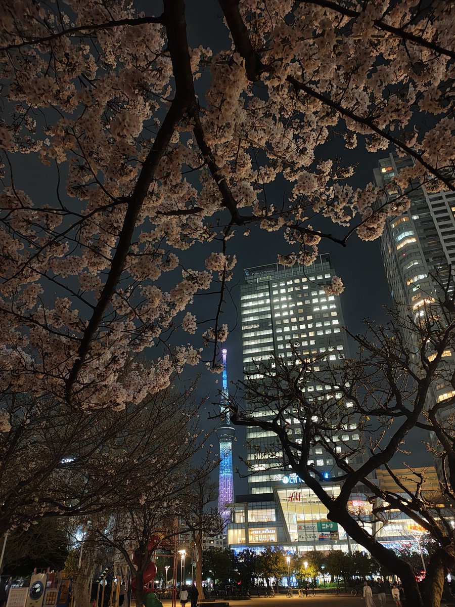 junmen999 tweet media