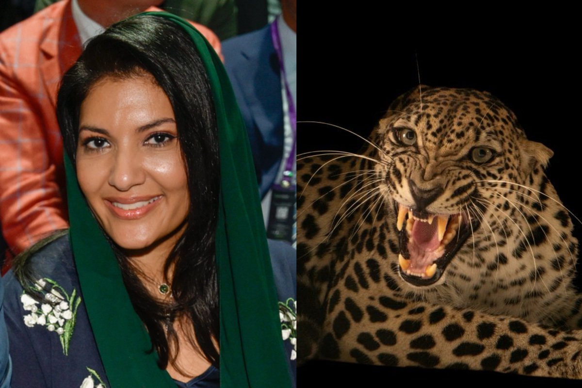 تـسـار tweet media