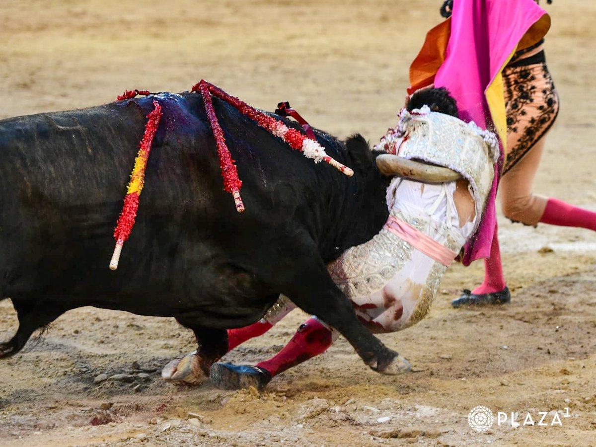Juan Diego Madueño tweet media