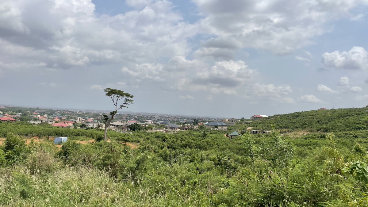 𝐊𝐨𝐟𝐢 𝐒𝐚𝐫𝐟𝐨-𝐀𝐛𝐚𝐛𝐢𝐨 tweet media