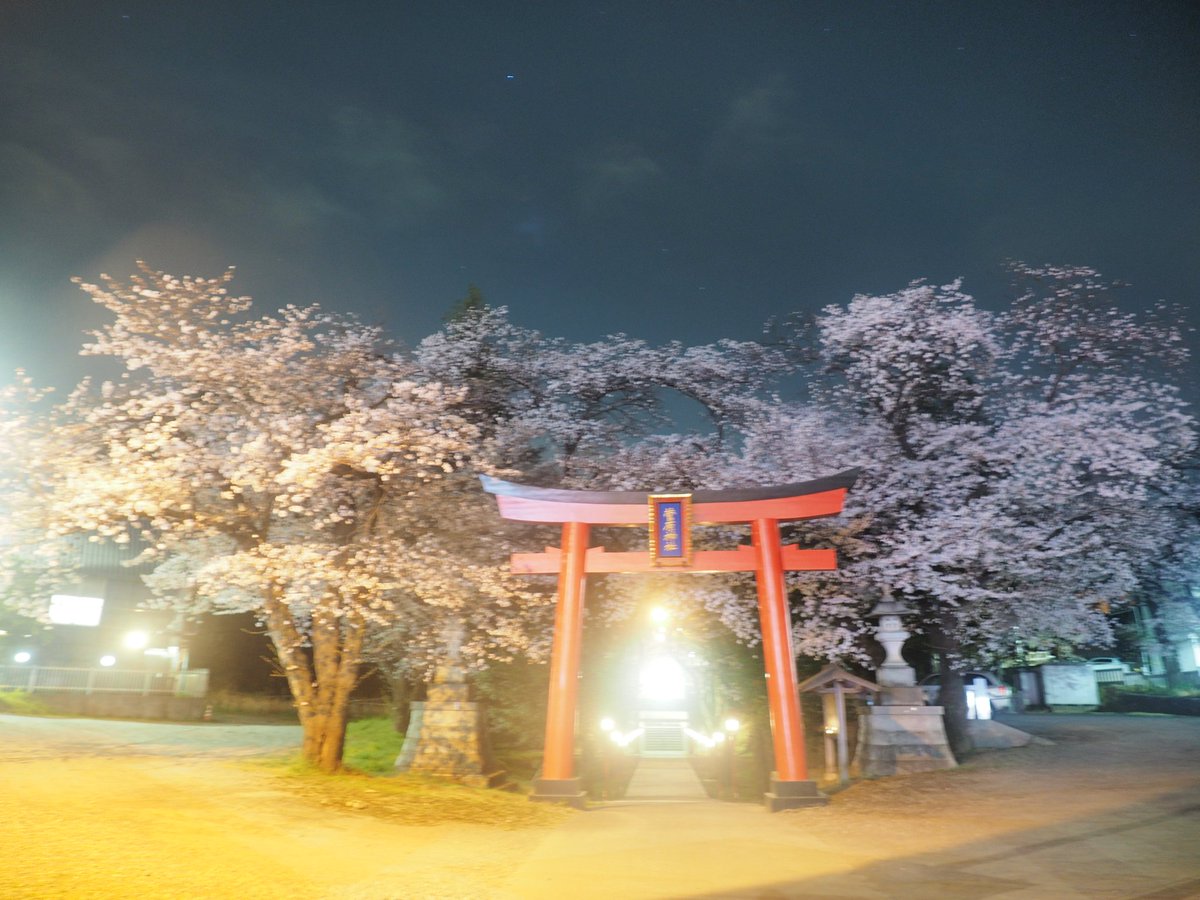 世の中に　たえて桜の　なかりせば
春の心は　のどけからまし

#町田
#菅原神社
#桜
#桜咲く
#写真
#古今和歌集
