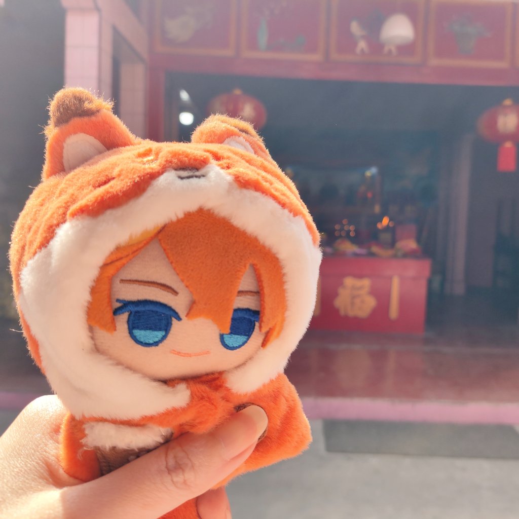 farfalla 🐱 tweet media