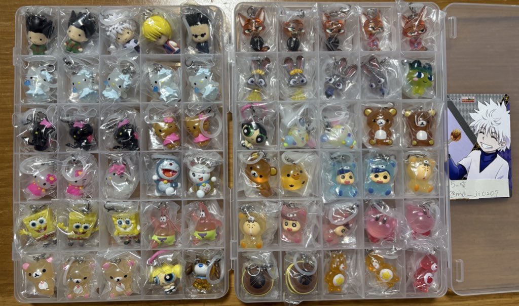 ちぃ坊 tweet media