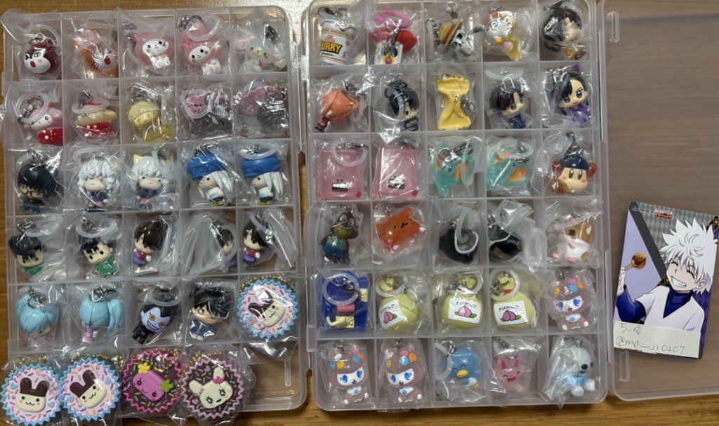 ちぃ坊 tweet media