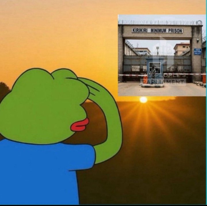 kash.lyst🧬 tweet media