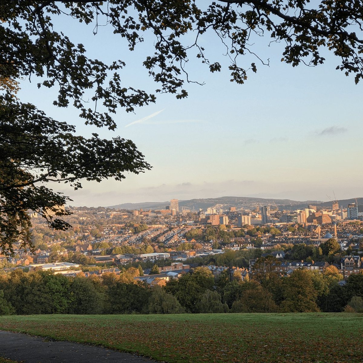 James Blunt Force Trauma tweet media