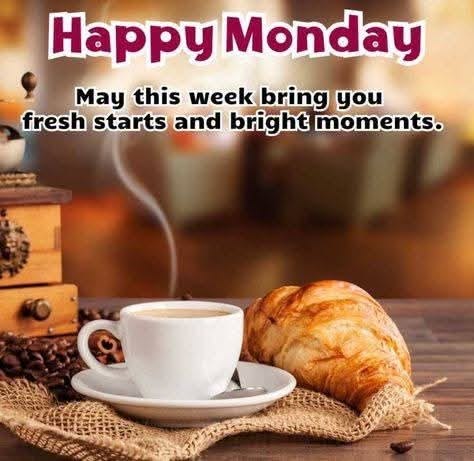 Nicholas Kocis tweet media