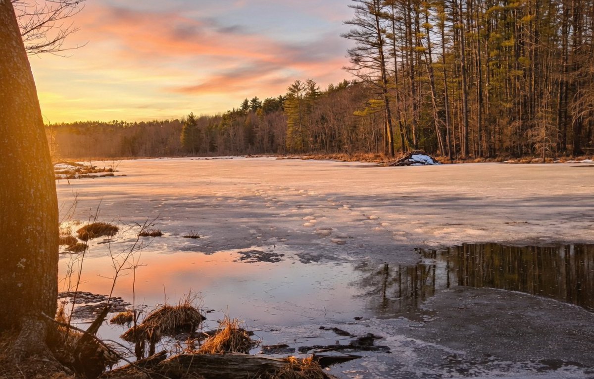 Granite Stater 🇺🇸 tweet media