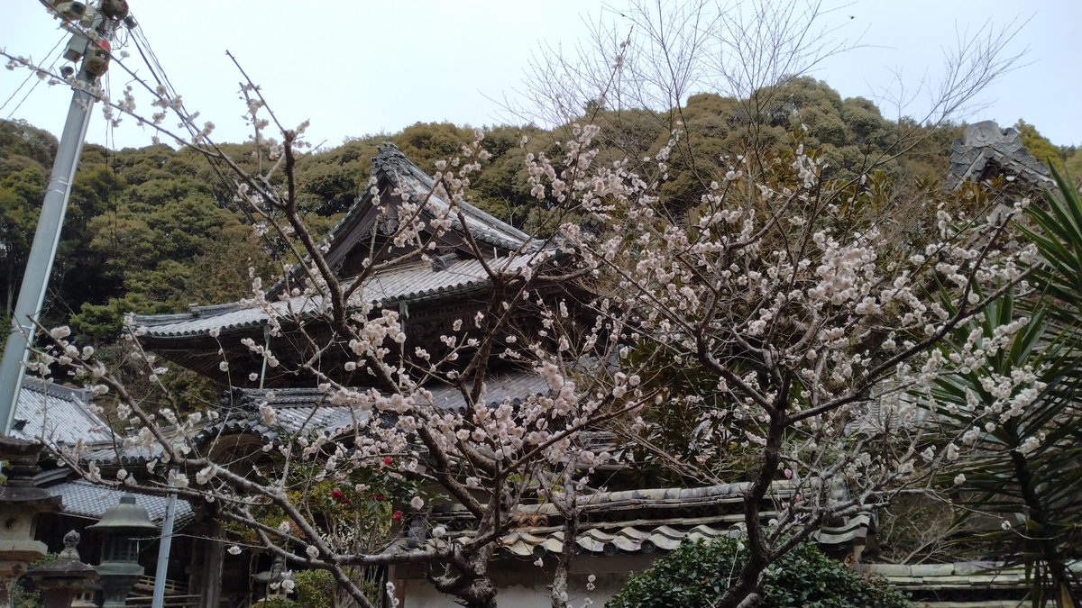 お爺ちゃん tweet media