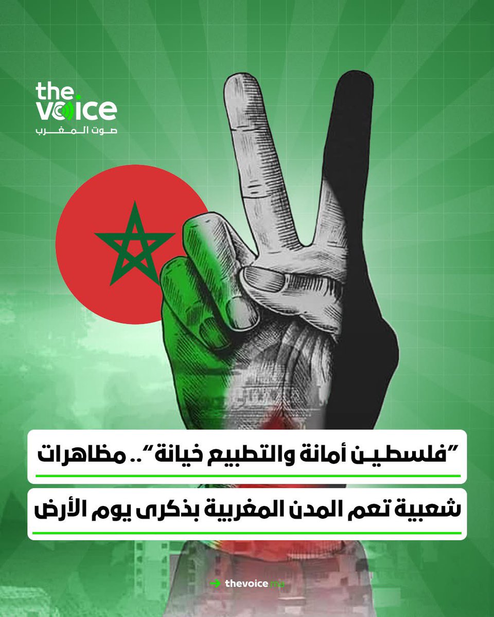 The voice صوت المغرب tweet media