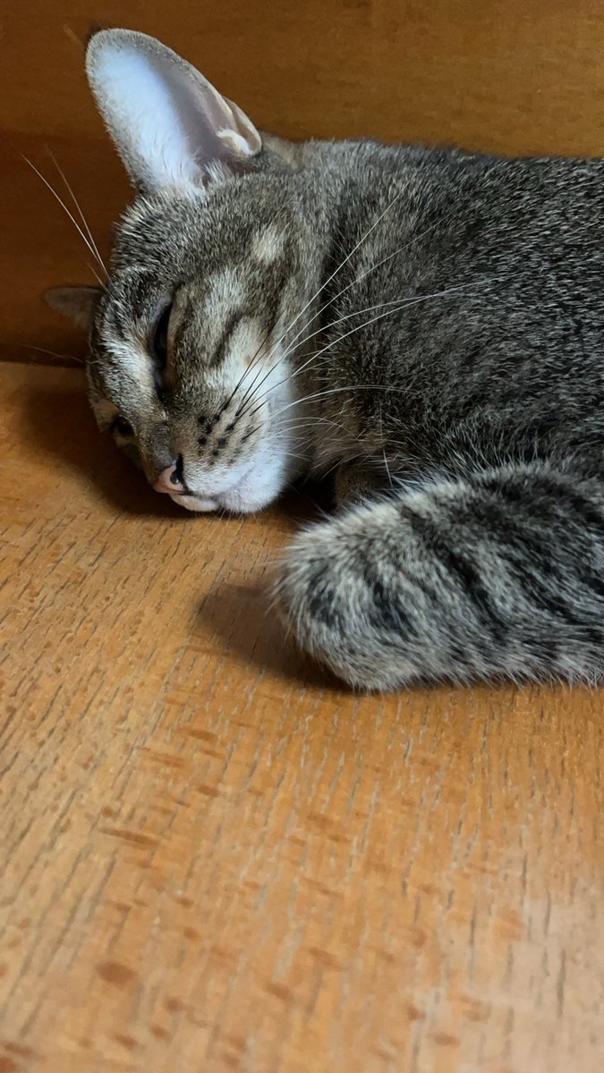 挖C皮蛋欸🍑🫶🏻 tweet media