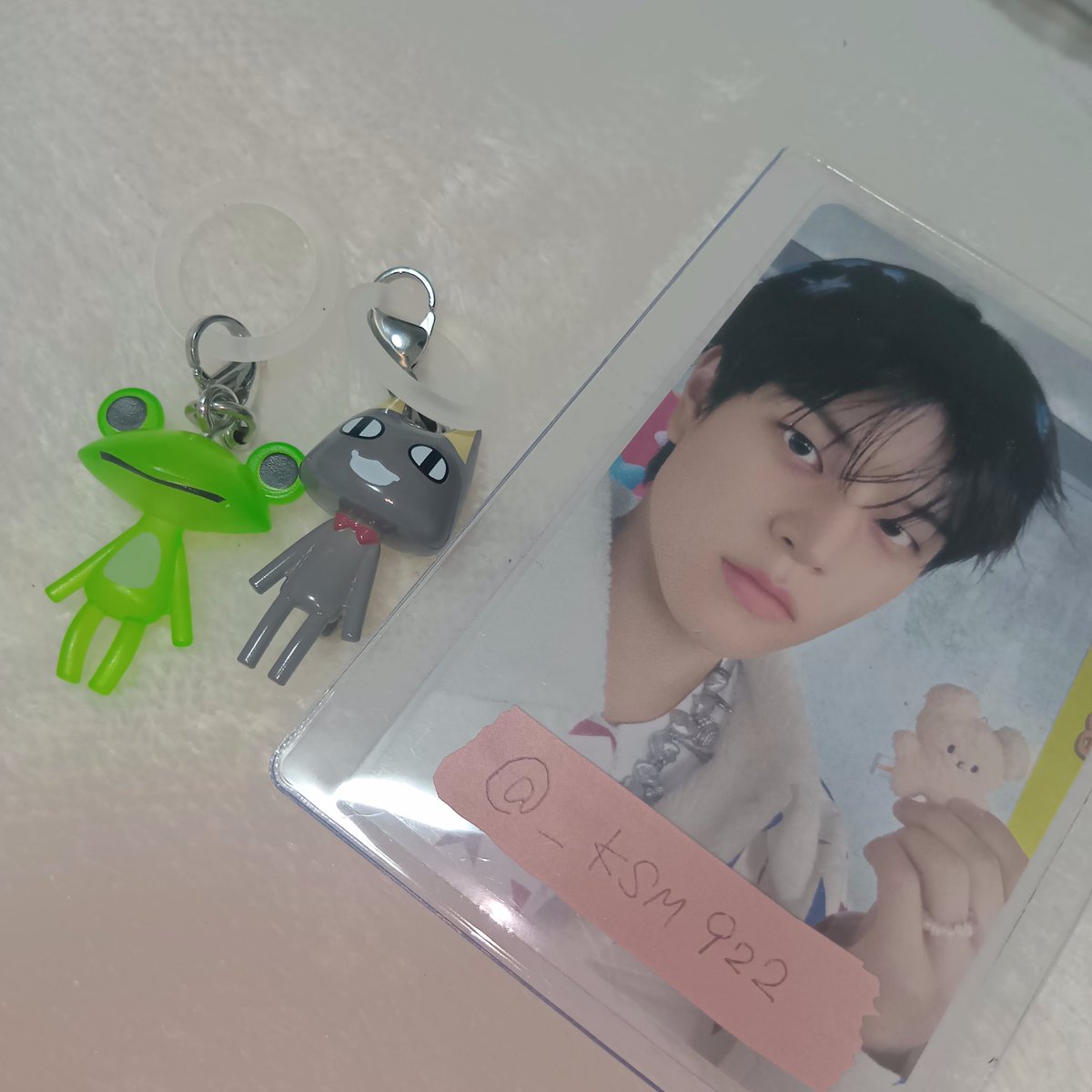 いぬ。 tweet media