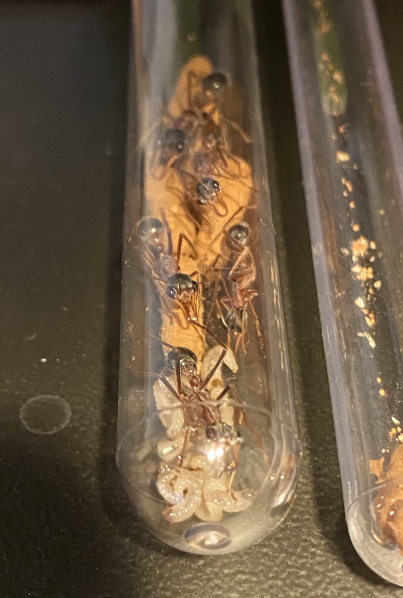 ぶっ殺してやる太郎 tweet media