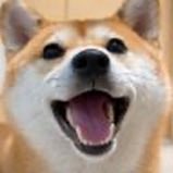 Real OG Crypto lover tweet media