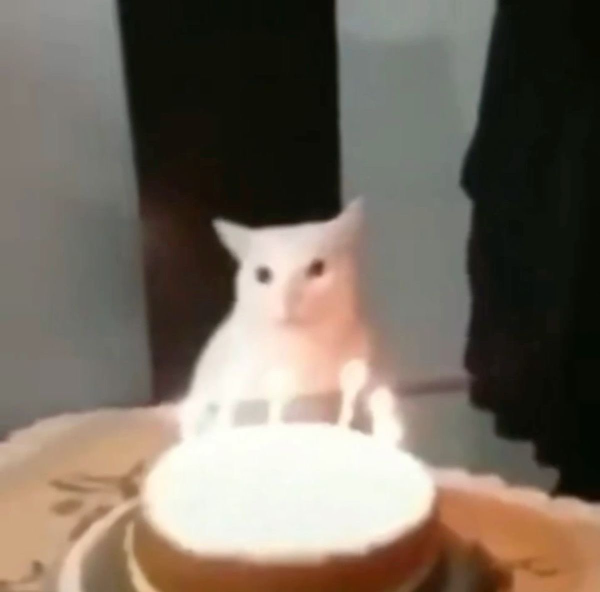 acervo gagatinha tweet media