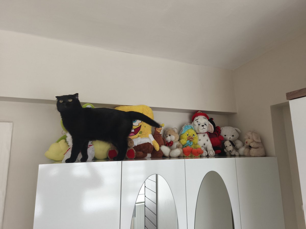 Ahmet Berat Çelik tweet media