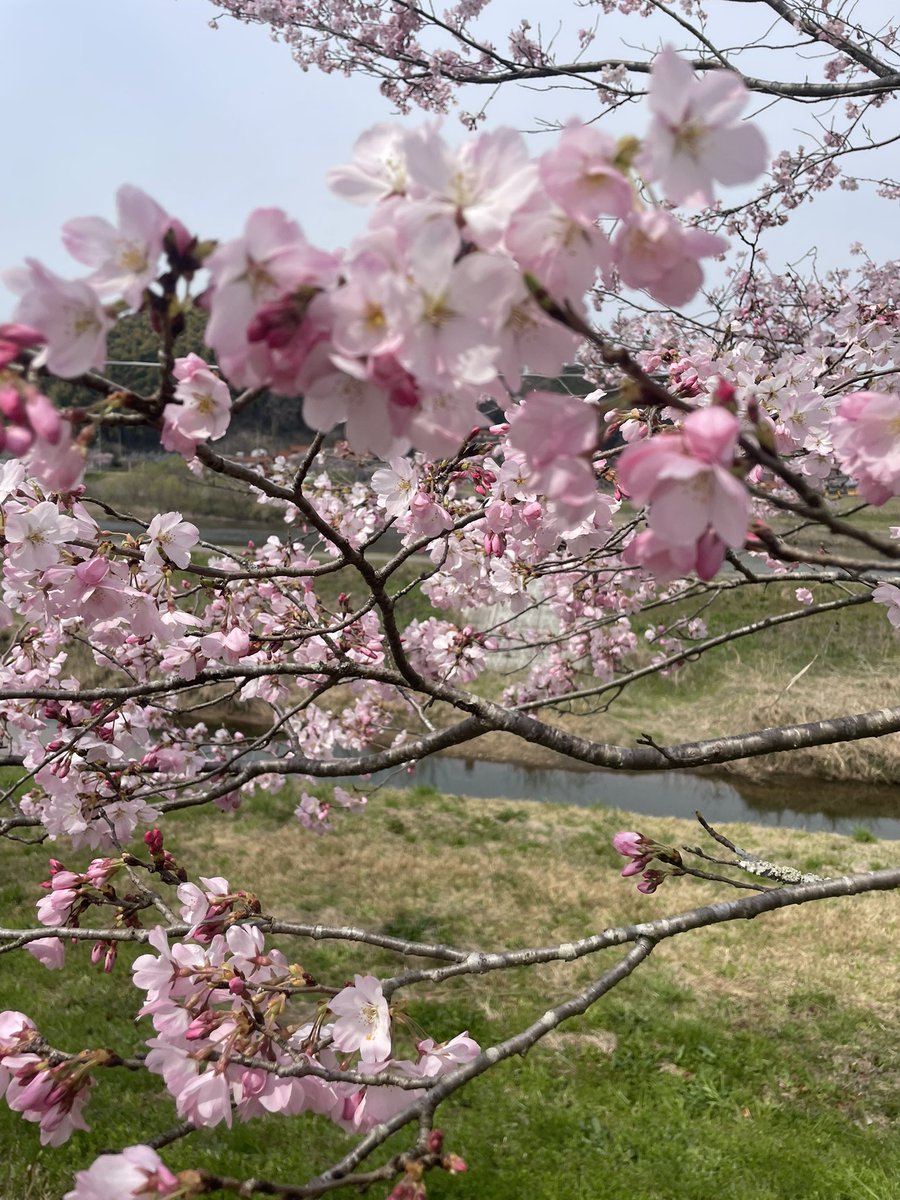 ♡ ﾞひぃﾞ♡ tweet media