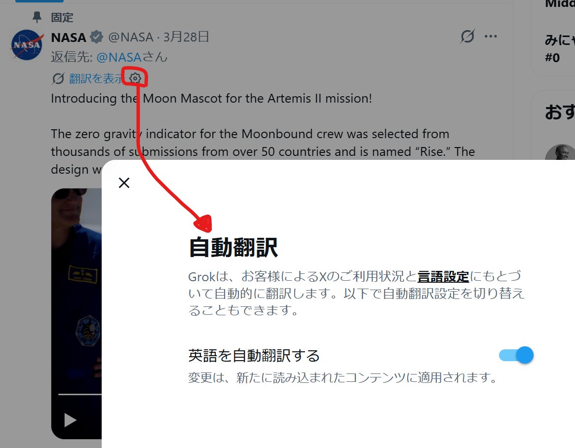 ネコビデオ ビジュアル ソリューションズ tweet media