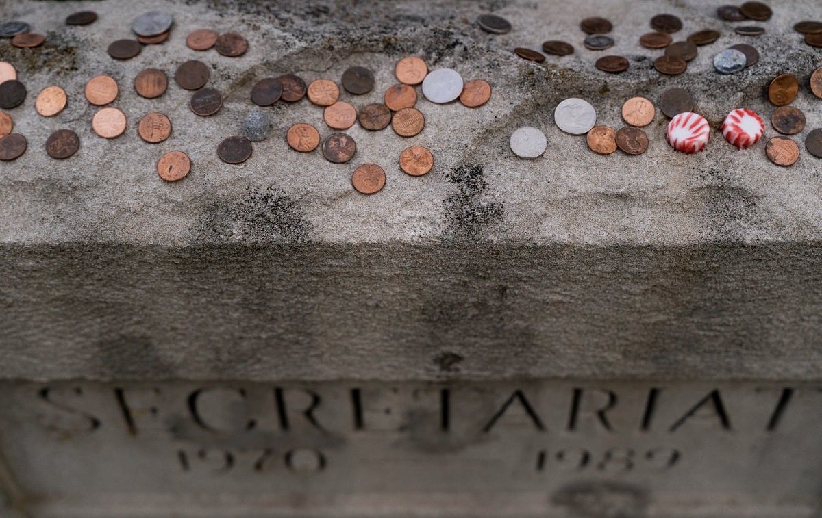 Claiborne Farm tweet media