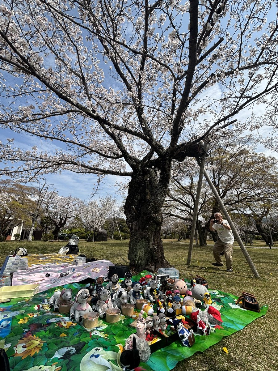 いと🐾(ポケともリーノ) tweet media