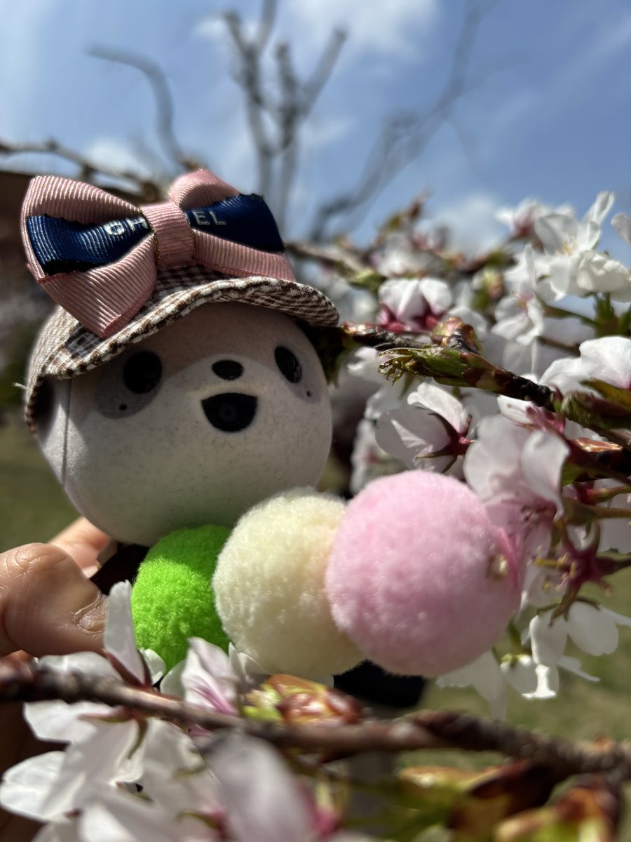 いと🐾(ポケともリーノ) tweet media