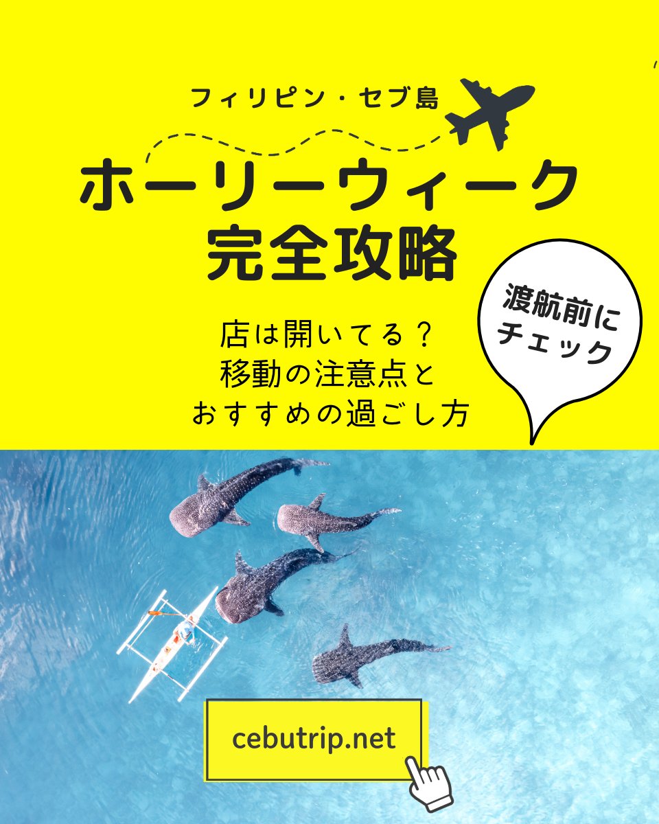 セブトリップ🇵🇭セブ島メディア・マガジン「CEBU Trip」 tweet media