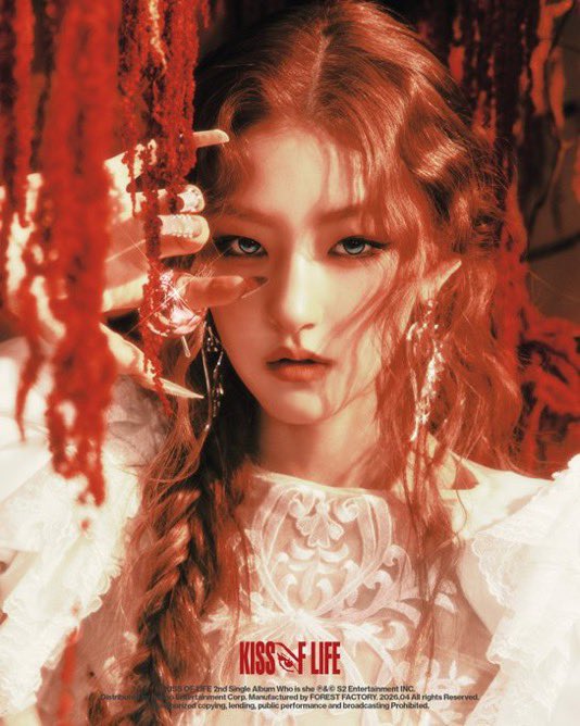 ally 𑣿 tweet media