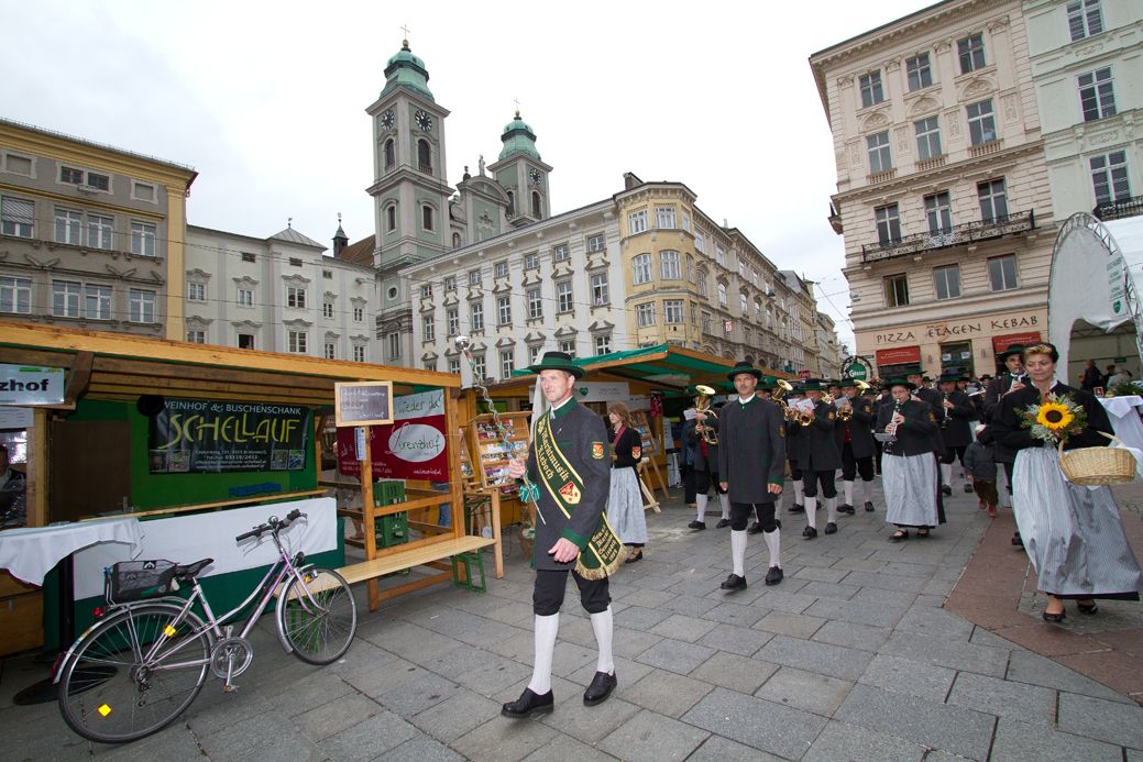 Dom Wolves tweet media