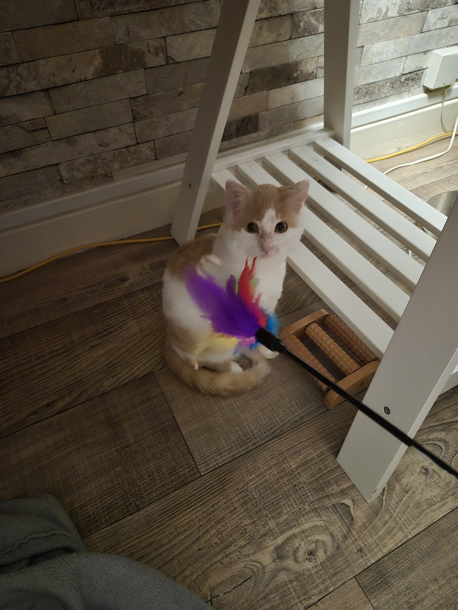 Gertrude tweet media