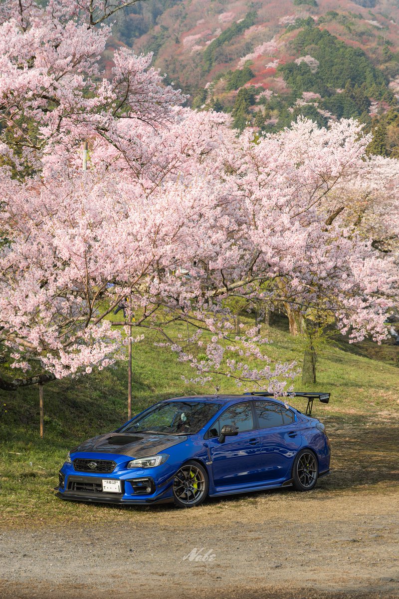 なべちゃん tweet media