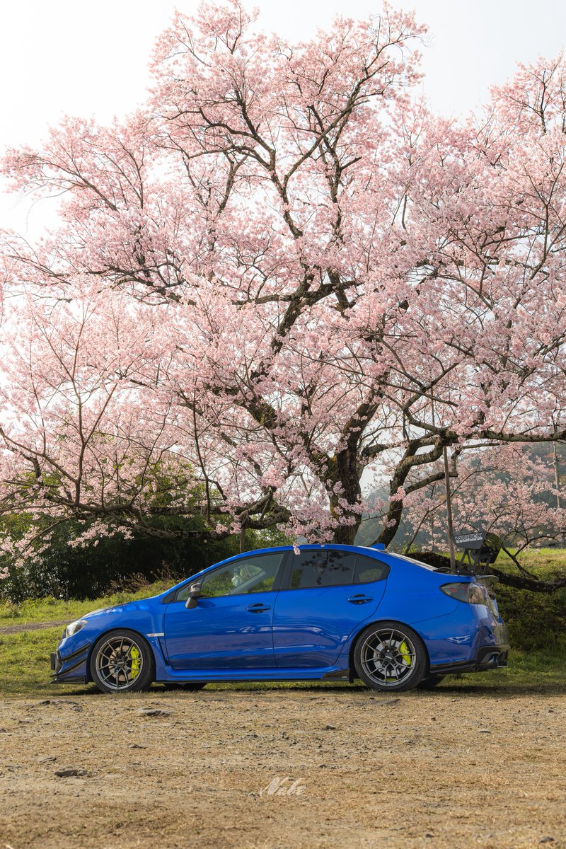 なべちゃん tweet media